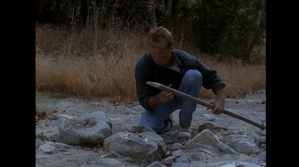 ファイナルフォースの画像