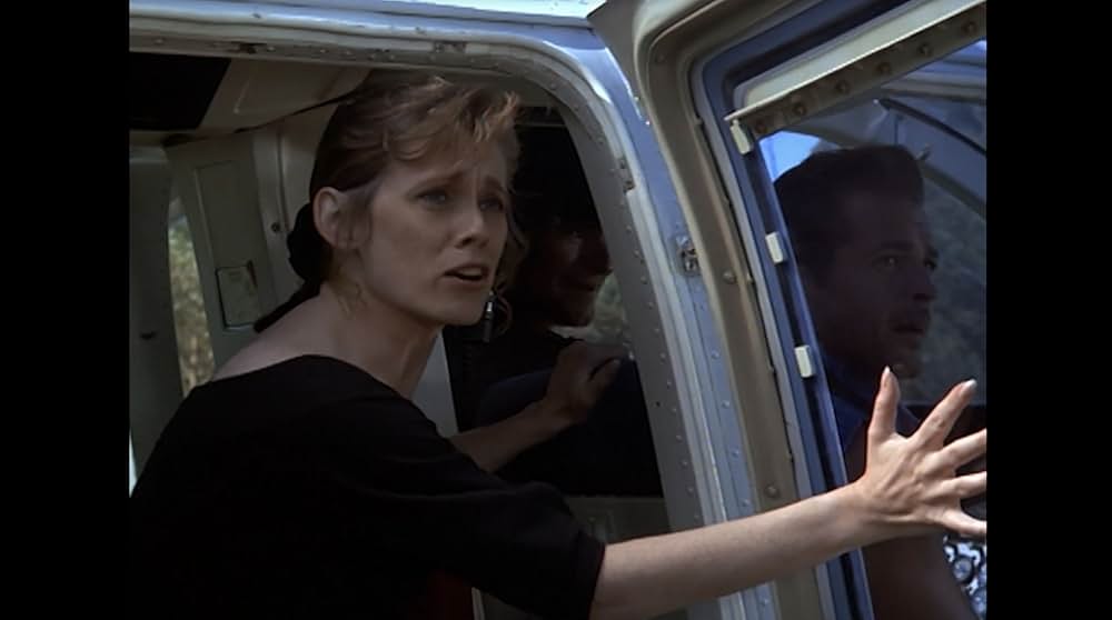 ファイナルフォースの画像