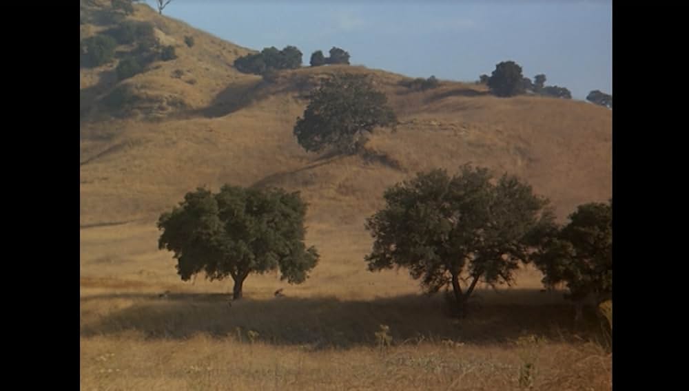 ファイナルフォースの画像