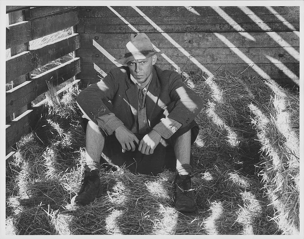 北国の帝王の画像