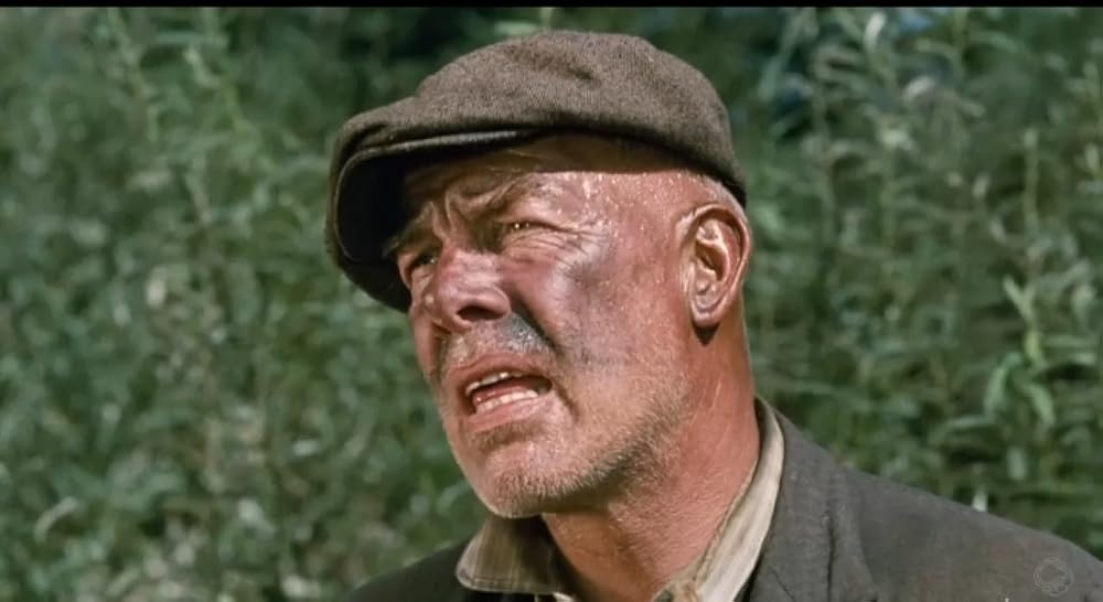 北国の帝王の画像