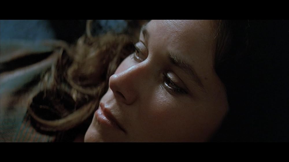 エンティティー／霊体の画像