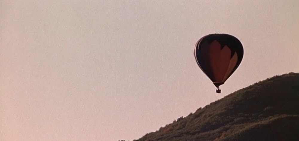 ニコルに夢中の画像