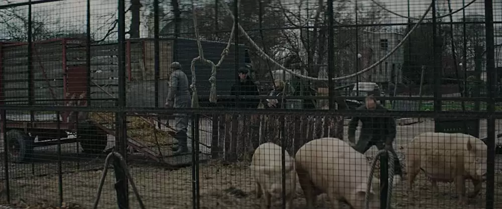 ユダヤ人を救った動物園 アントニーナが愛した命の画像