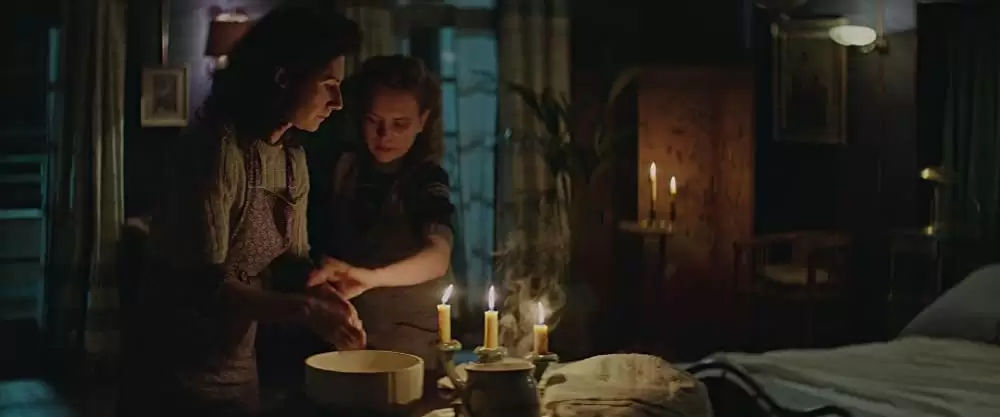 ユダヤ人を救った動物園 アントニーナが愛した命の画像