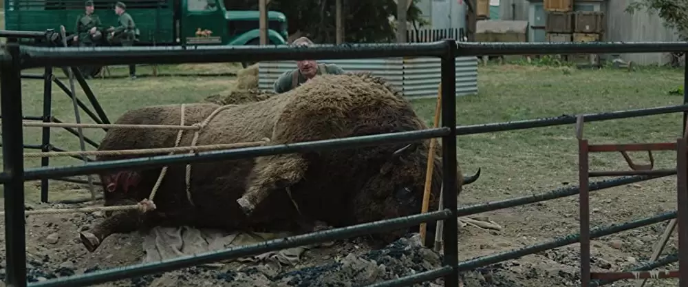 ユダヤ人を救った動物園 アントニーナが愛した命の画像