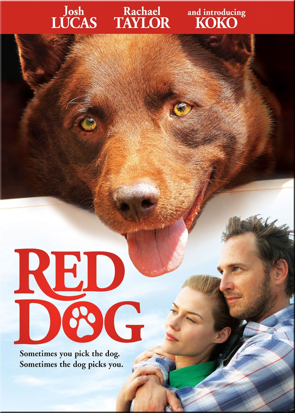 Red dog（原題）の画像