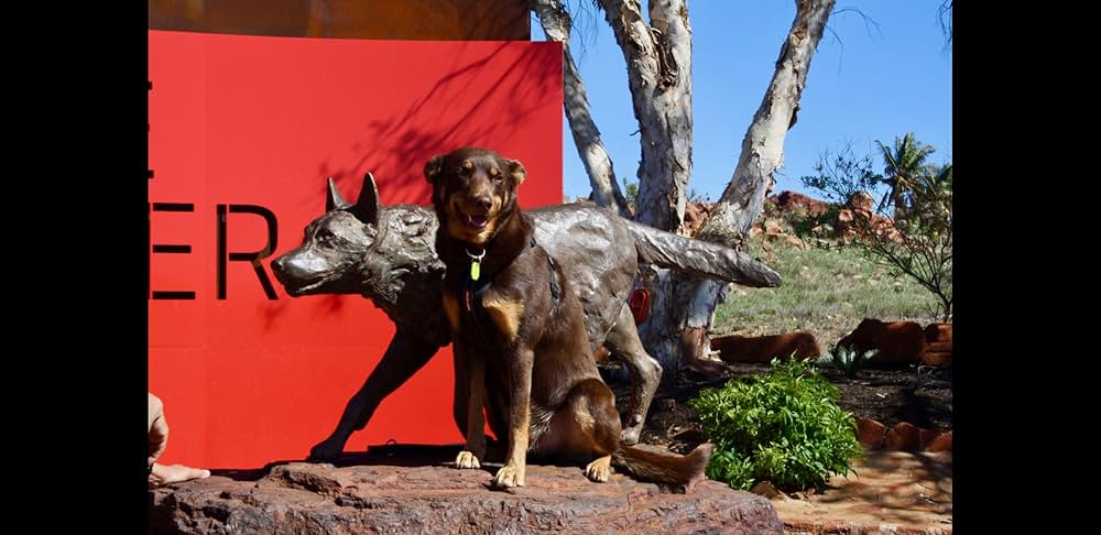 「Red dog（原題）」の画像