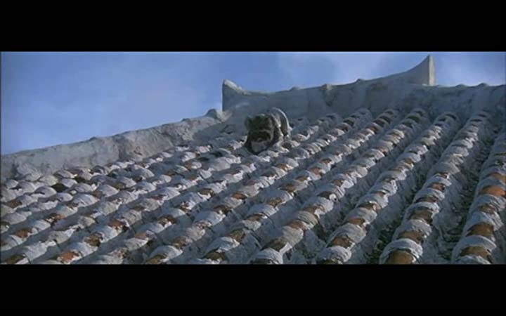 男はつらいよ 寅次郎ハイビスカスの花の画像