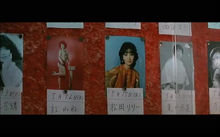 男はつらいよ 寅次郎ハイビスカスの花の画像