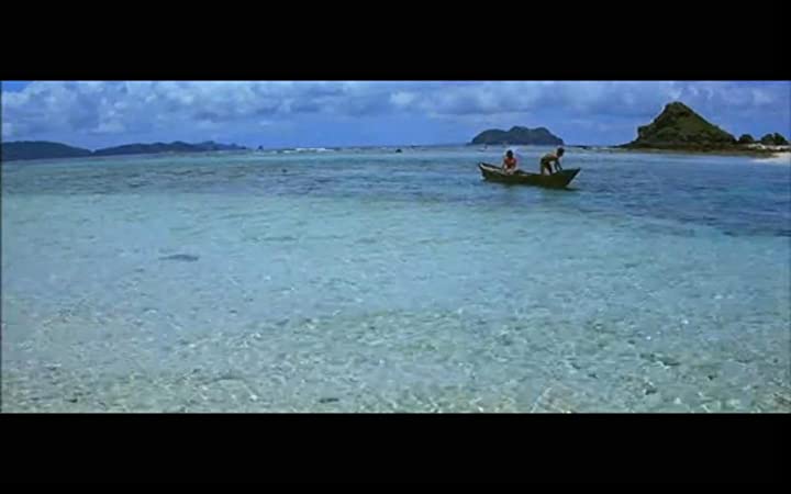 男はつらいよ 寅次郎ハイビスカスの花の画像