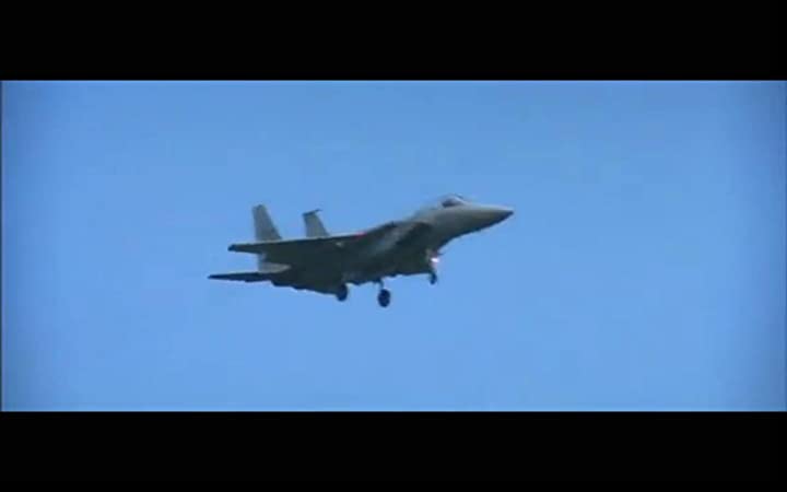 男はつらいよ 寅次郎ハイビスカスの花の画像