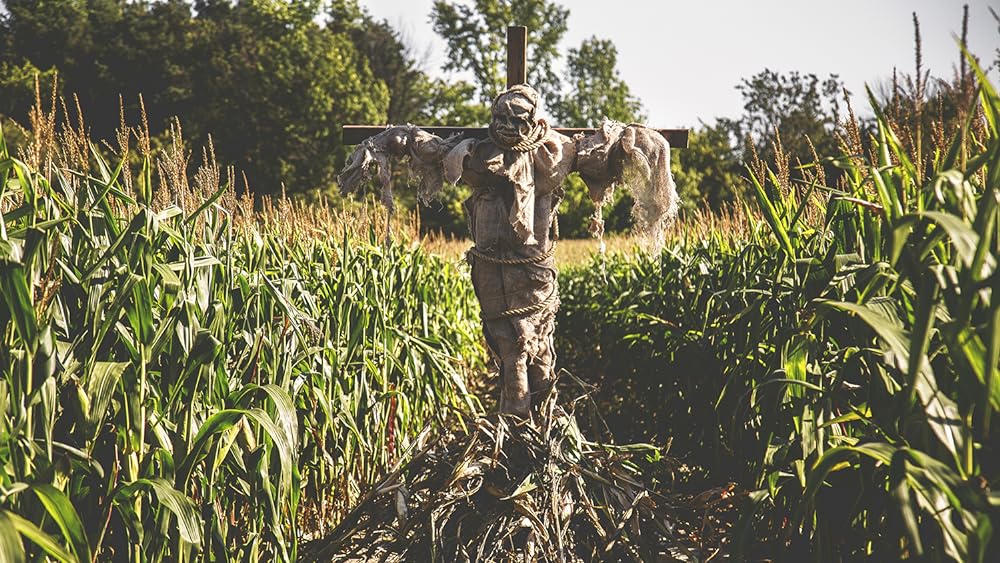 スケアクロウ トウモロコシ畑の獲物の画像