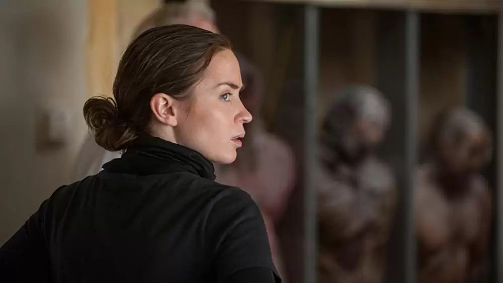 ボーダーラインの画像