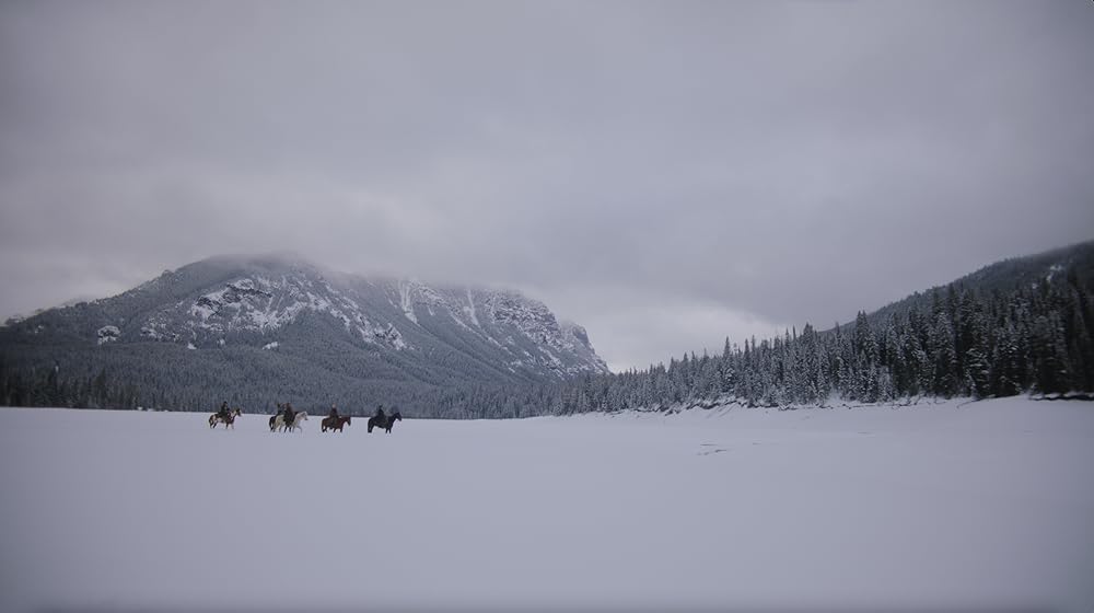 Organ Trail（原題）の画像