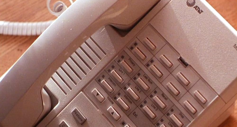 風と共に去る20ドル！?の画像