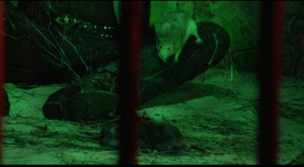 ザ・コールド 人肉嗜食者達の晩餐／ザ・ゲーム 殺意のリゾートホテルの画像