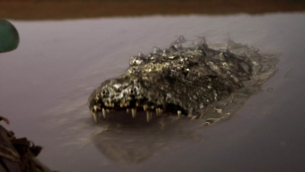 Ｕ.Ｍ.Ａ レイク・プラシッド ファイナルの画像