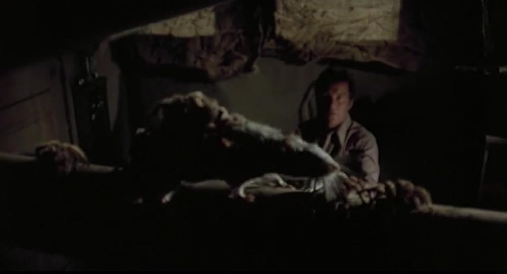 巨大クモ軍団の襲撃の画像