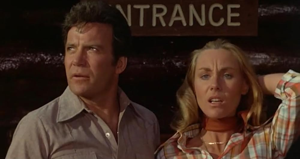 巨大クモ軍団の襲撃の画像