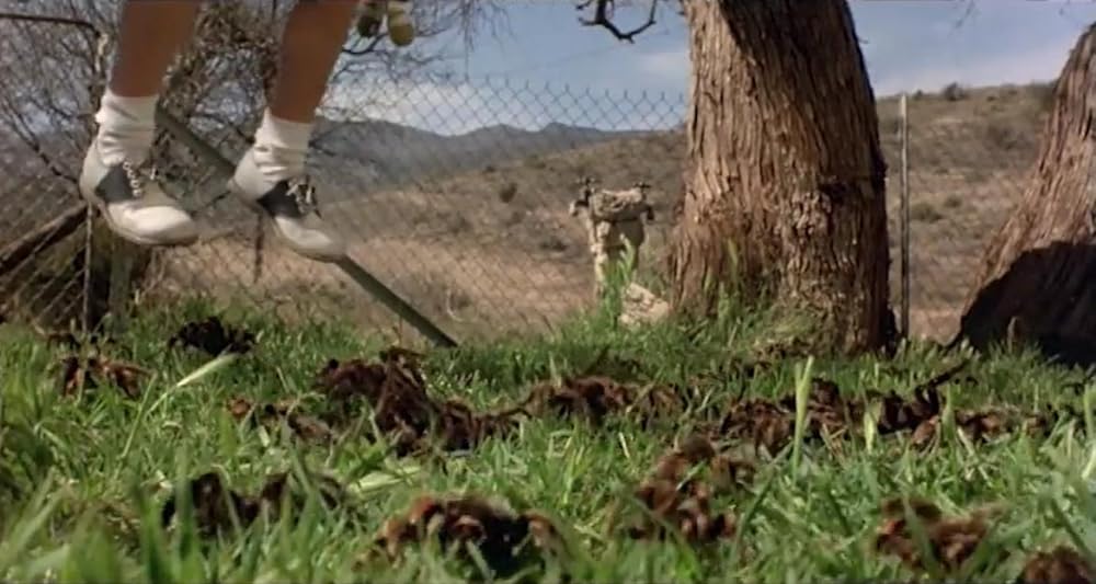 巨大クモ軍団の襲撃の画像