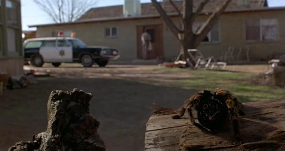 巨大クモ軍団の襲撃の画像