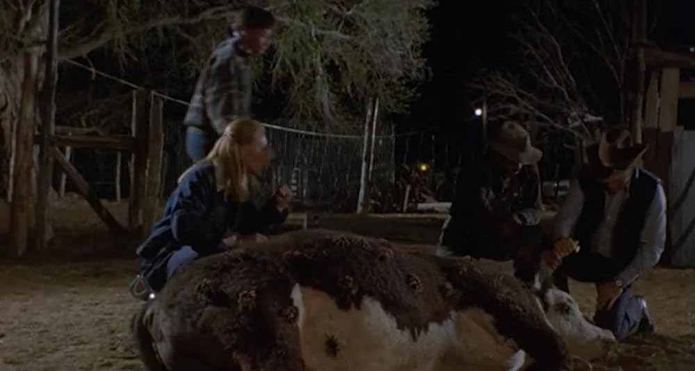 巨大クモ軍団の襲撃の画像