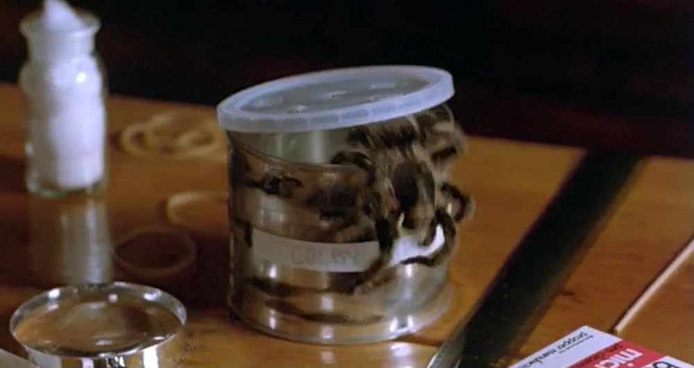 巨大クモ軍団の襲撃の画像