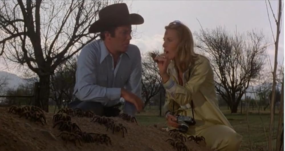 巨大クモ軍団の襲撃の画像