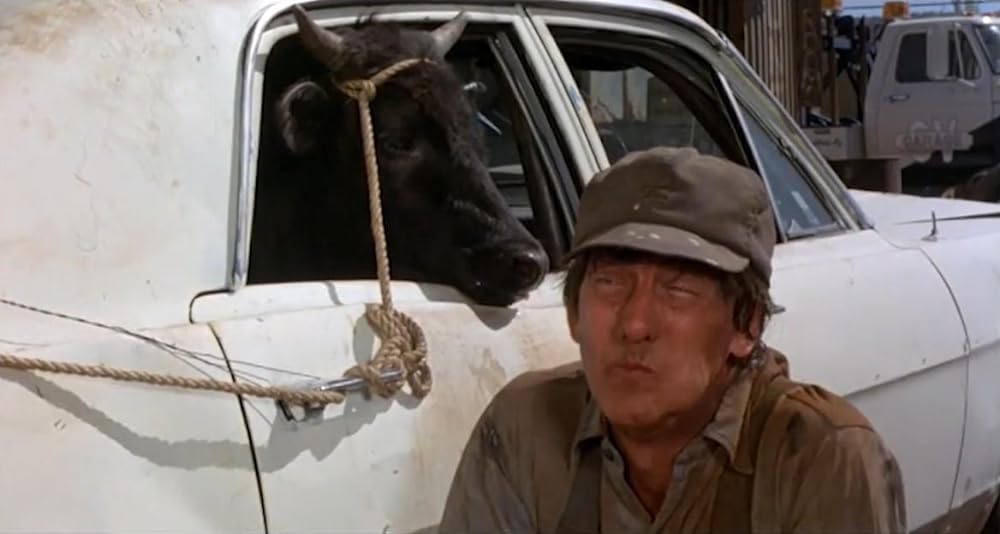 巨大クモ軍団の襲撃の画像