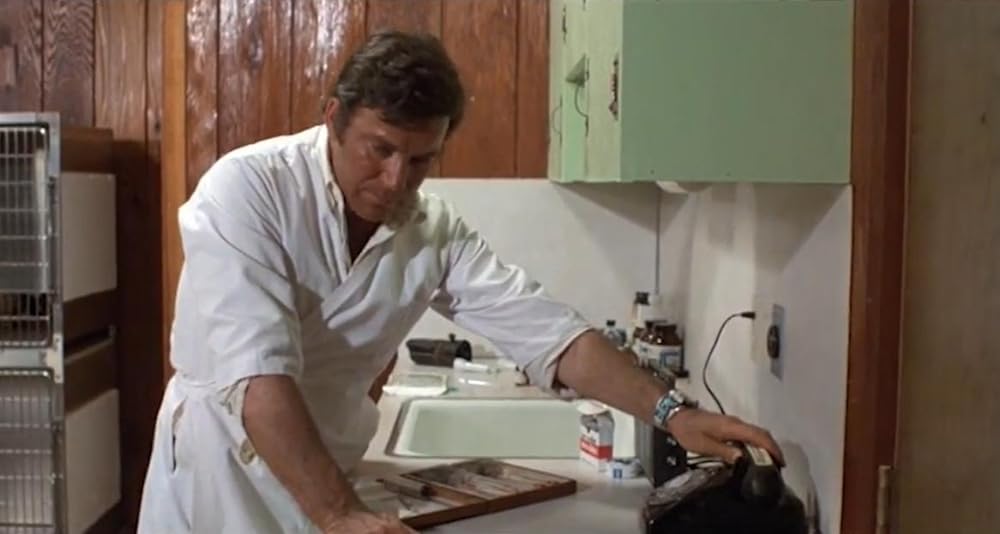 巨大クモ軍団の襲撃の画像