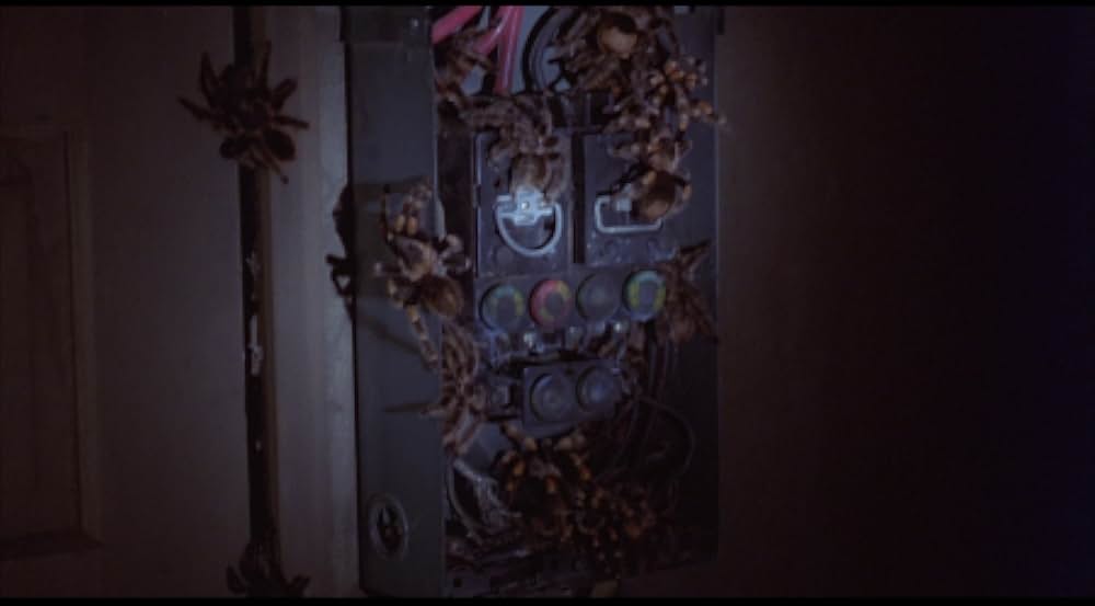 巨大クモ軍団の襲撃の画像