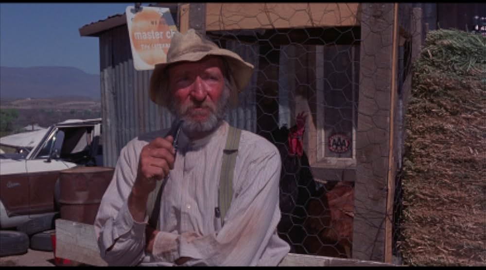 巨大クモ軍団の襲撃の画像