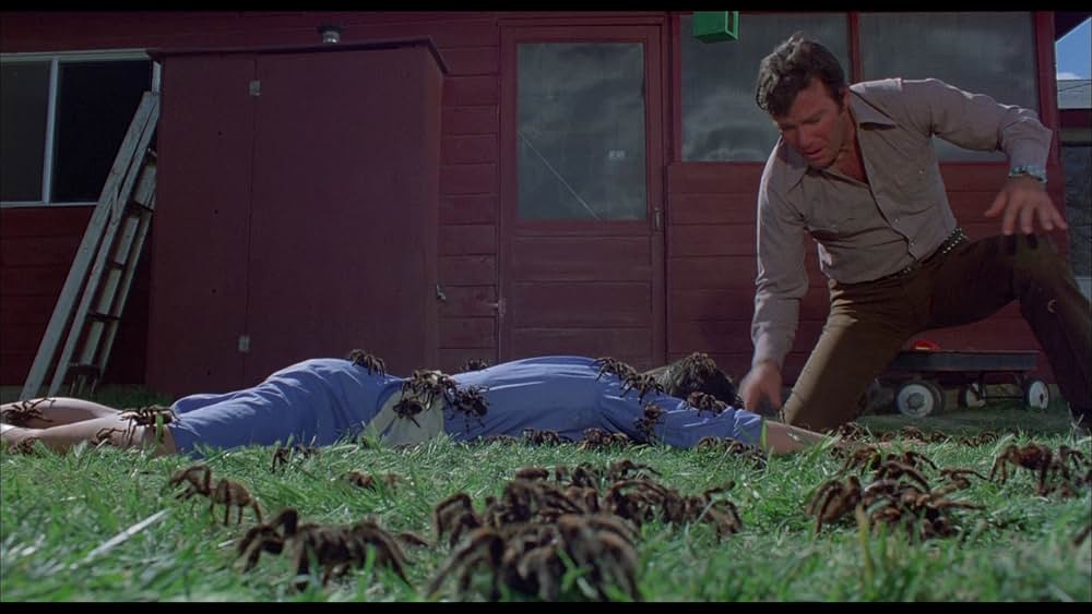 巨大クモ軍団の襲撃の画像