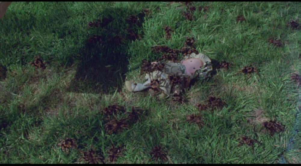 巨大クモ軍団の襲撃の画像