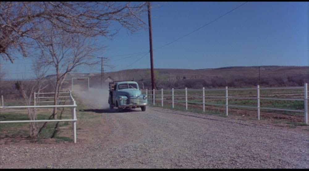 巨大クモ軍団の襲撃の画像