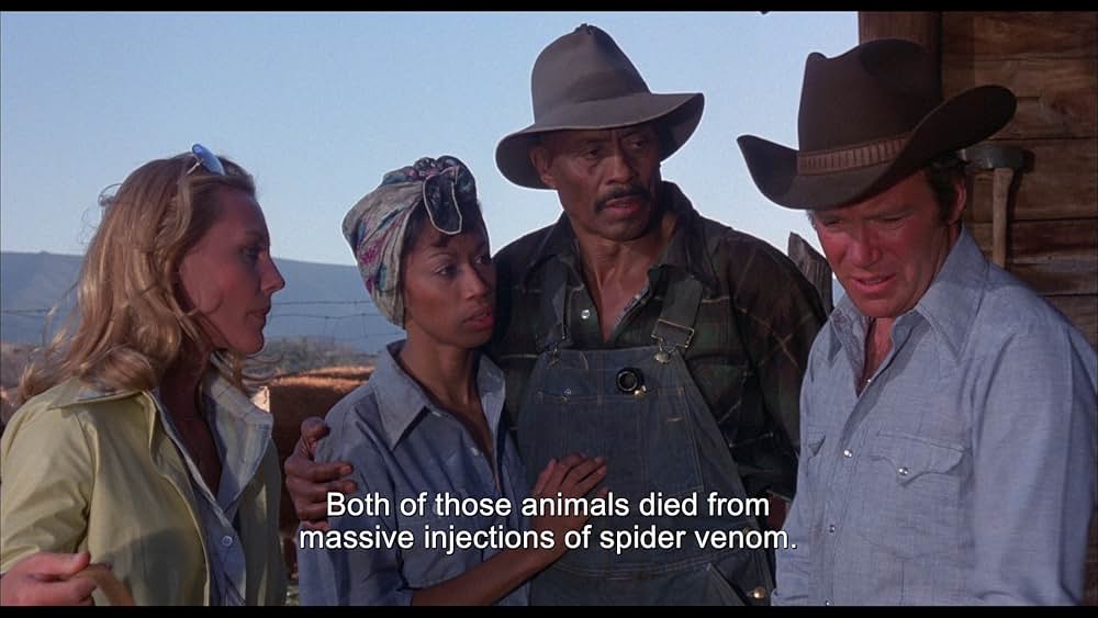 巨大クモ軍団の襲撃の画像