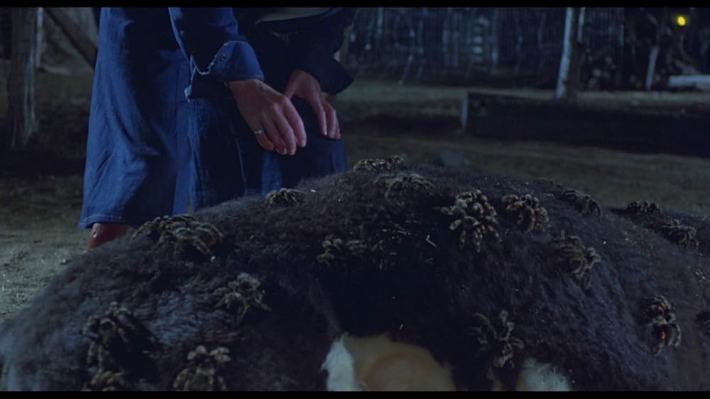 巨大クモ軍団の襲撃の画像