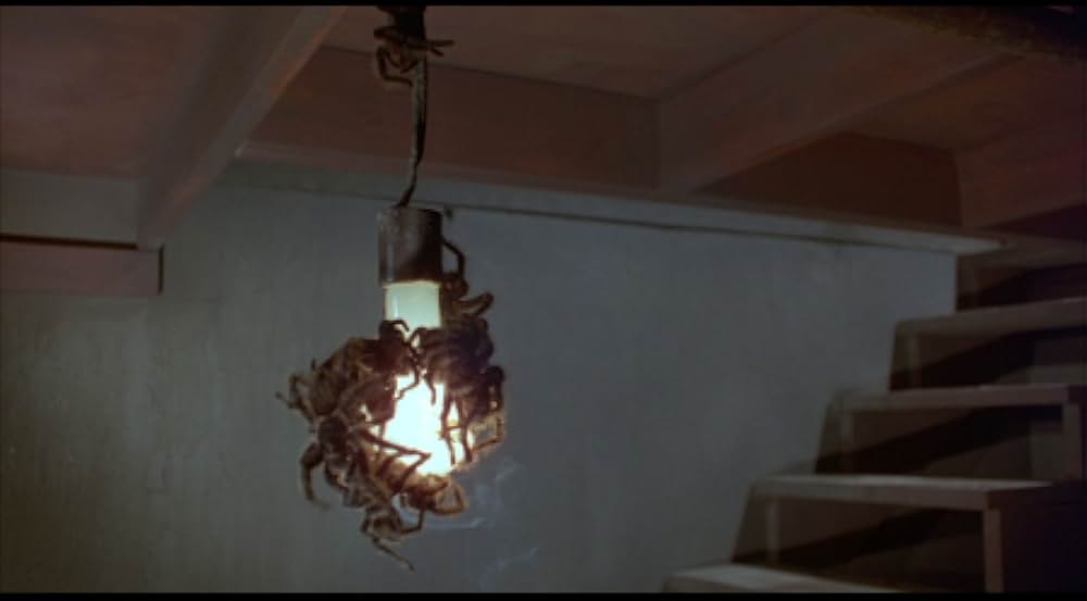 巨大クモ軍団の襲撃の画像