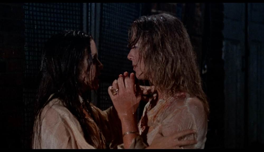 脱走！暴力売春組織／野獣のストリートの画像