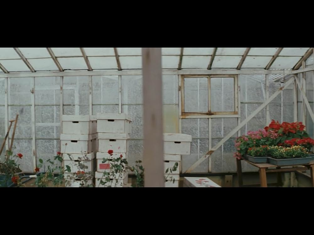 アムステルダム・キルの画像