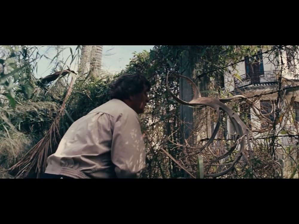 アムステルダム・キルの画像