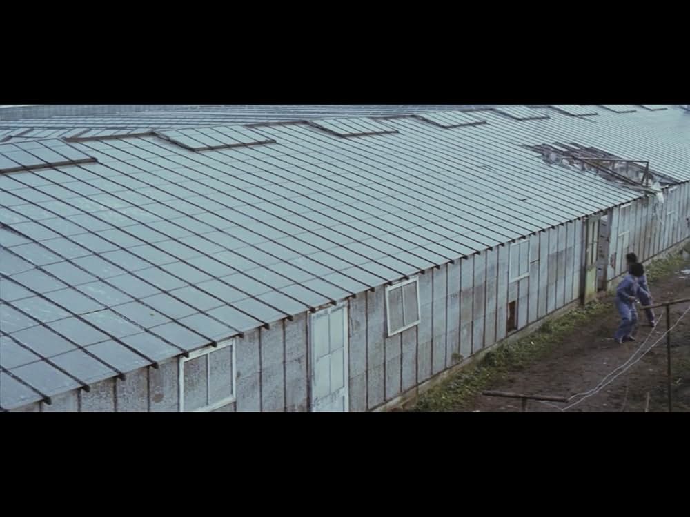 アムステルダム・キルの写真