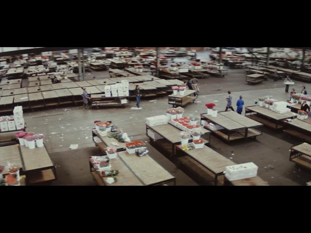 アムステルダム・キルの画像