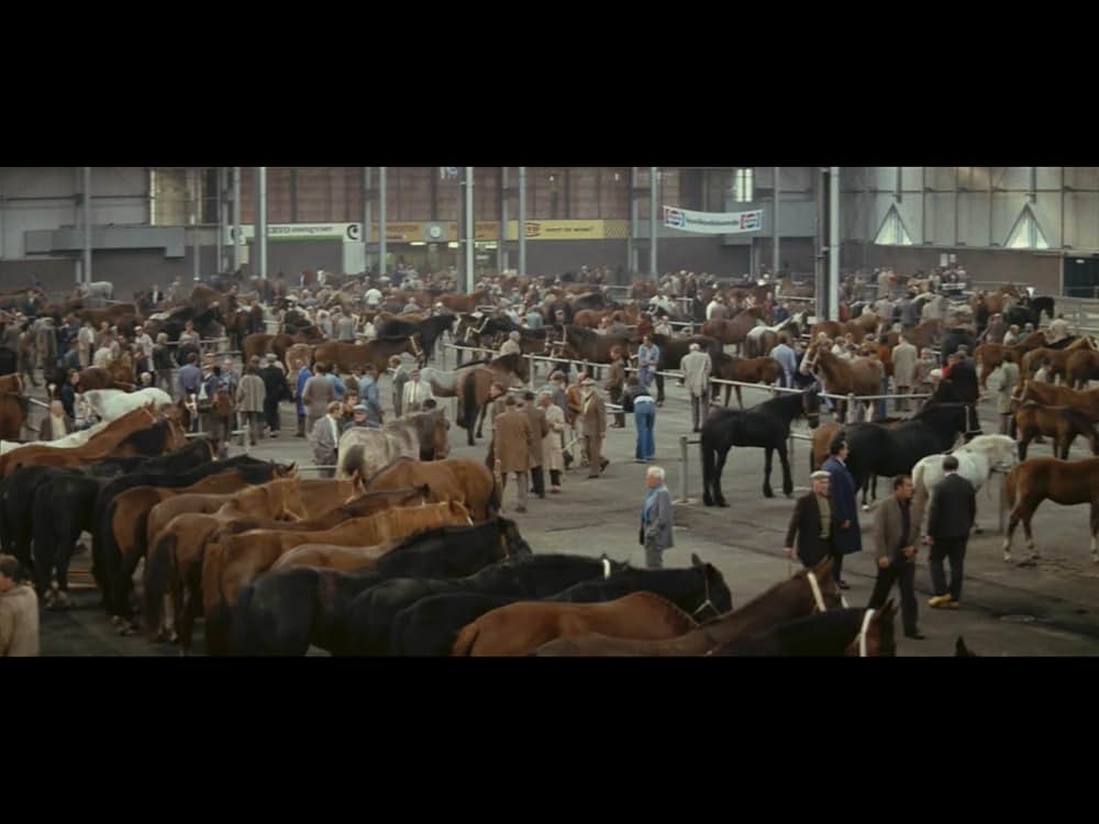 アムステルダム・キルの画像