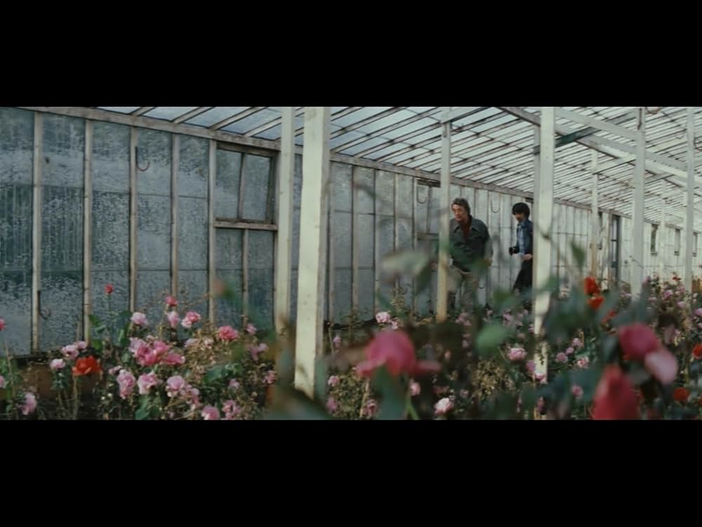 アムステルダム・キルの画像