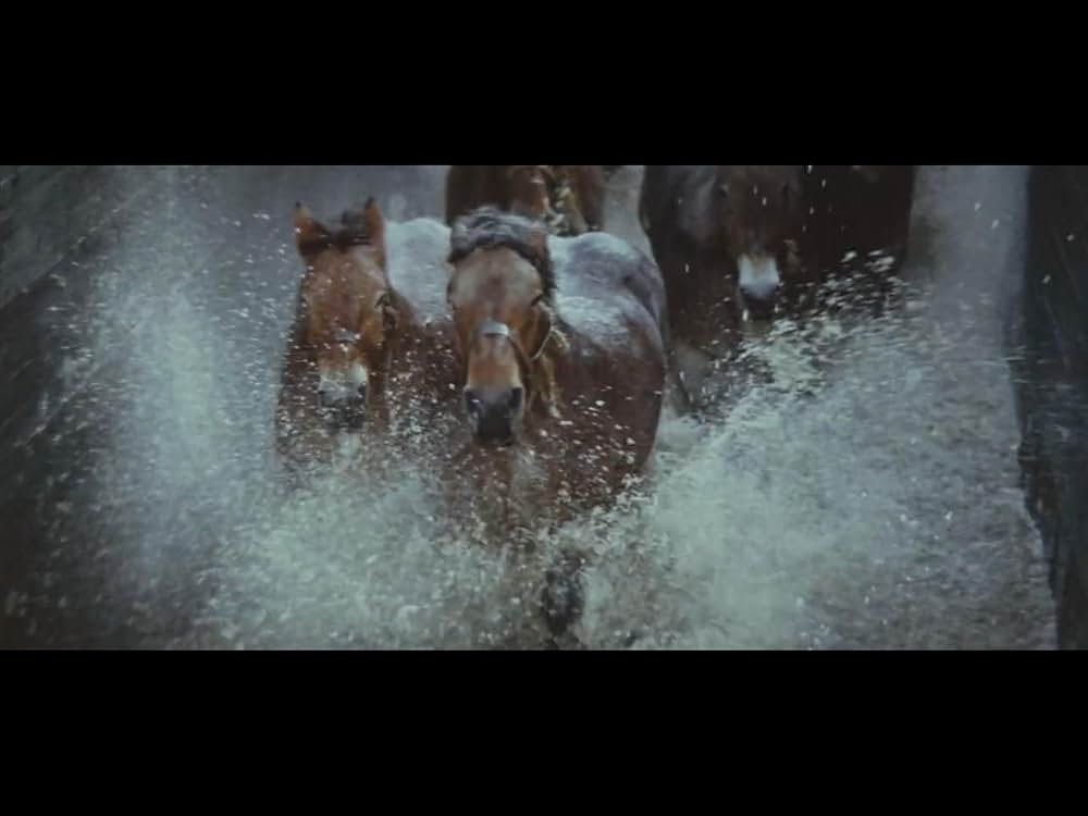 アムステルダム・キルの画像