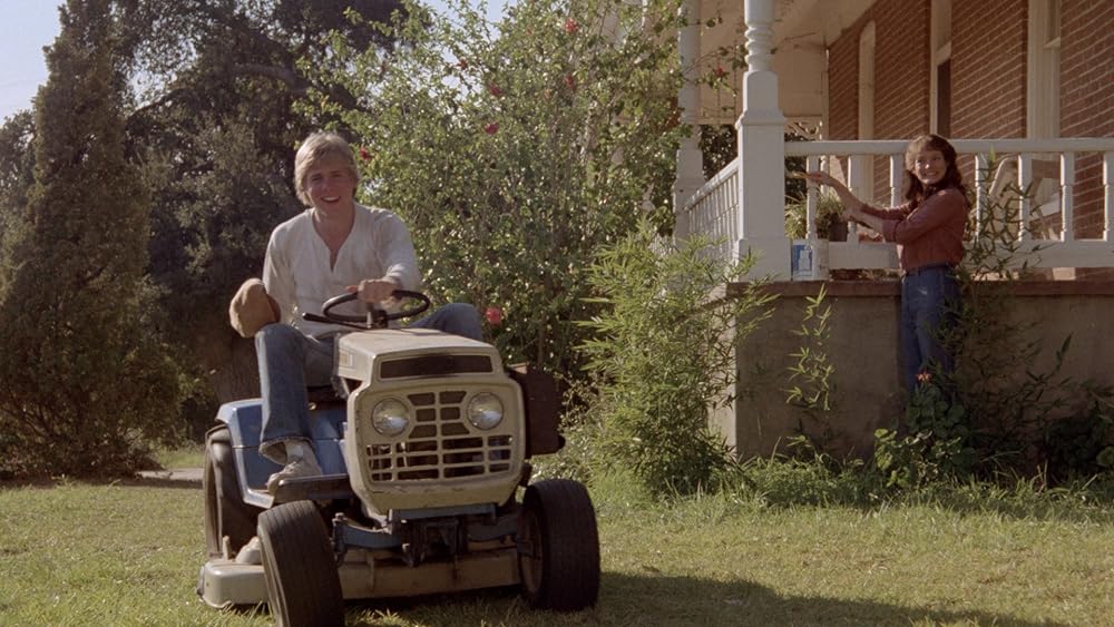 ザ・ハース／生贄の町の画像