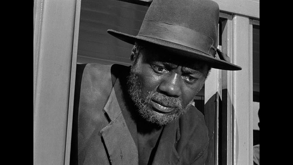 泣け！愛する祖国よの画像