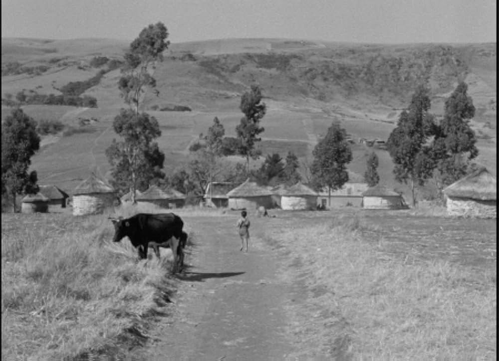 泣け！愛する祖国よの画像